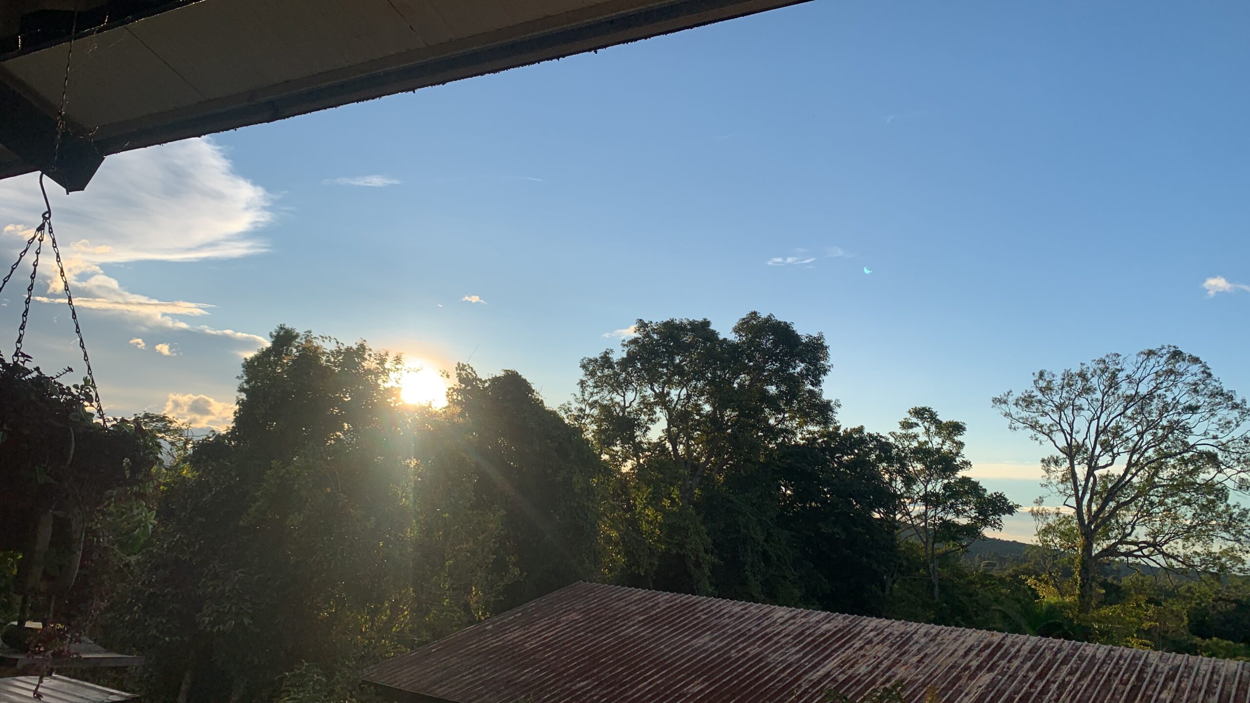 01A1BB99-FD90-41D3-8FBC-EB2B257C7193