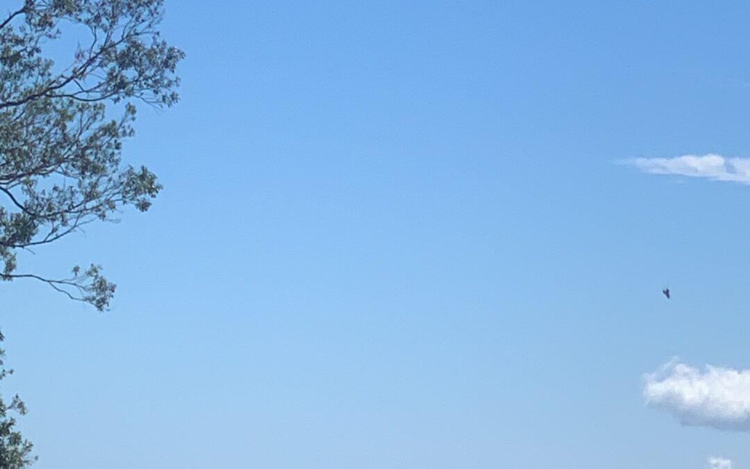 Weitblick über die grünen Hochlandwälder von Palmira bei Boquete bis zum Pazifik bei Boca Chica, auch bekannt als Golf von Palmira.