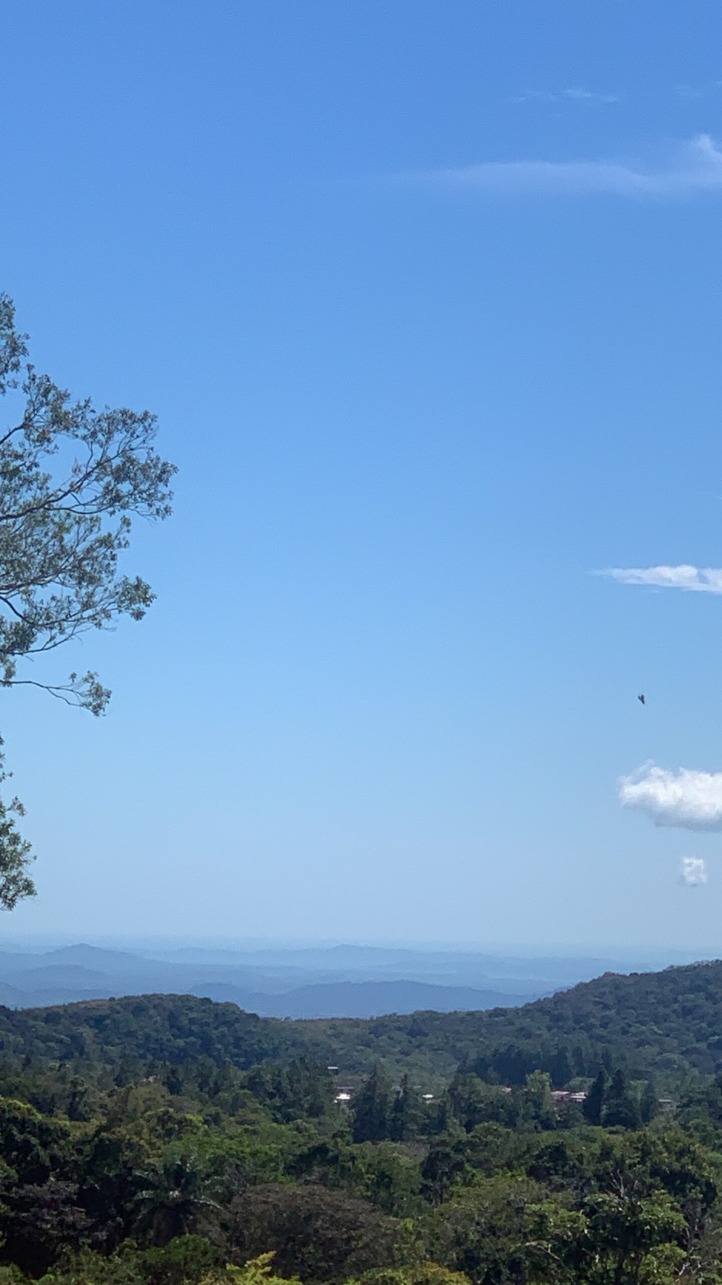 Weitblick über die grünen Hochlandwälder von Palmira bei Boquete bis zum Pazifik bei Boca Chica, auch bekannt als Golf von Palmira.