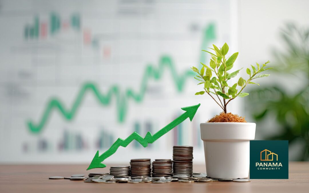 Symbolbild für nachhaltiges Wachstum und verantwortungsvollen Umgang mit Ressourcen im Refugio Palmira.